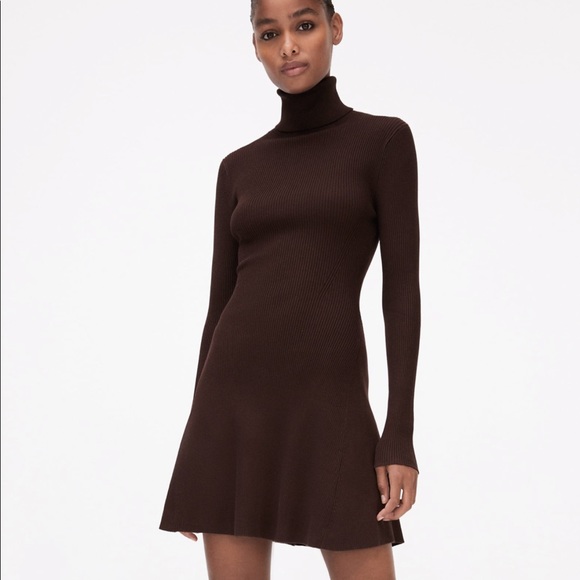 Zara Dresses & Skirts - Zara High Collar Knit Dress Brown NWT